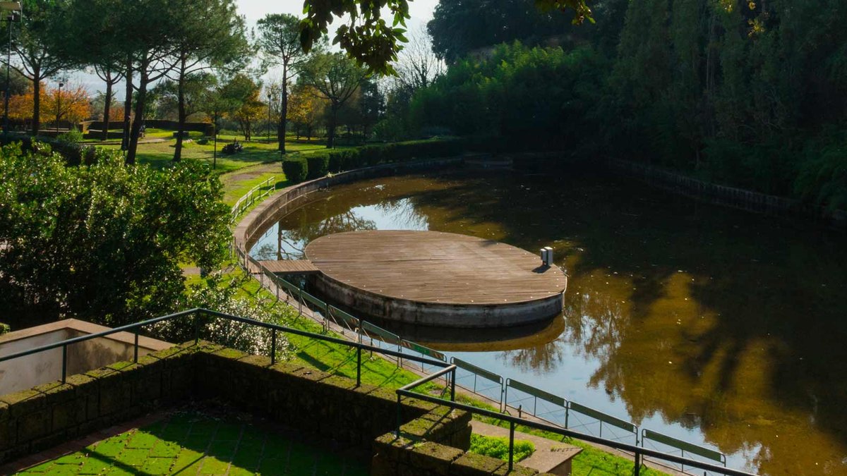 Napolike tweet media