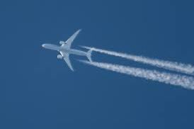 HellesLager's tweet image. Even the pilots are celebrating #nationalcatturdday @3YearLetterman