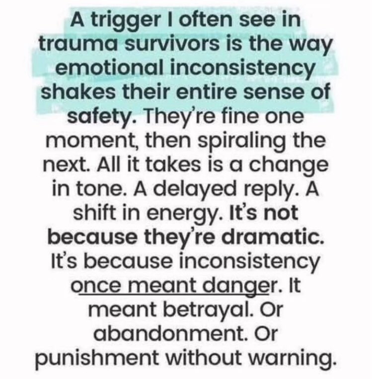 RhiaCrewe's tweet photo. 💜 https://t.co/CTTNqt1qlD