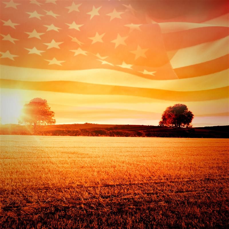UnverferthMfg's tweet image. Freedom waves in every grain. 🇺🇸🌾
This Fourth of July, we honor the land, the legacy, and the liberty that define us. Here's to those who made freedom possible—and to the beauty of America that keeps it alive. Happy Independence Day! #FourthOfJuly