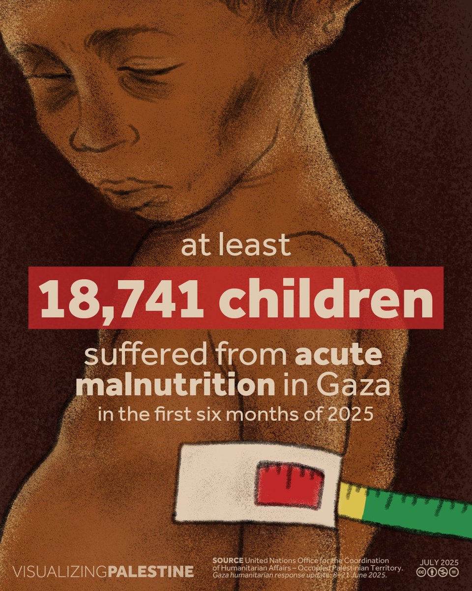 visualizingpal's tweet image. In Gaza, the most basic human need has become a nightmare. Share our latest 👇, which shows the toll of Israel&apos;s weaponization of hunger on Palestinian children, with your community. Take it with you to protests, use it to shed light on Israel&apos;s impunity.
#ArmsEmbargoNow