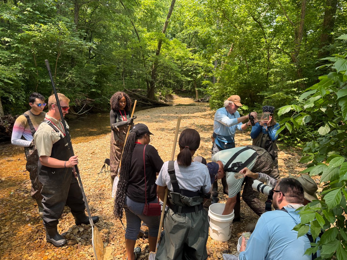 KSUAquaculture's tweet photo. KSU Aquaculture hit the road to the 2025 NANFA Convention in Gilbertsville, KY!
From field trips to fish talks, students &amp; faculty connected with native fish experts &amp; dove deep into aquatic science.
#KSUaquaculture #NANFA2025 #STEM #ThorobredPride #FishConservation #KentuckyLake https://t.co/4Rxz1kCHfF