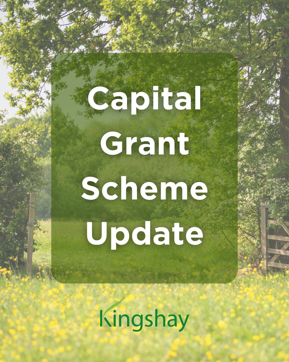 Kingshay Farming (@kingshayfarming) on Twitter photo The Capital Grant Scheme application window is now open, with £150 million up for grabs! 💥
Contact our Rural Compliance Consultancy expert Emily Bunn, if you need support with your application or to talk through your options. 📞 01458 851555 or 📩 consultancy@kingshay.co.uk. The Capital Grant Scheme application window is now open, with £150 million up for grabs! 💥
Contact our Rural Compliance Consultancy expert Emily Bunn, if you need support with your application or to talk through your options. 📞 01458 851555 or 📩 consultancy@kingshay.co.uk.