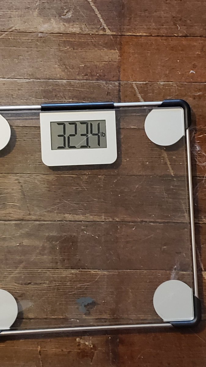 Sensei Noof tweet media