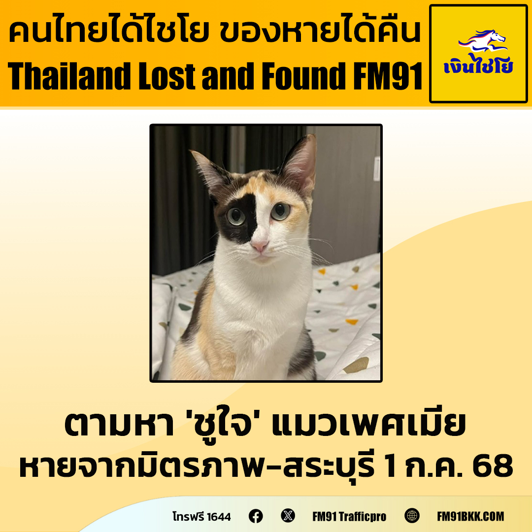 ตามหา 'ชูใจ' แมวเพศเมีย ลักษณะสามสี (น้ำตาล-ครีม-ขาว) ปื้นหน้าทางขวามือเป็นสีน้ำตาล หางกุด มีปลอกคอลายสก๊อตสีน้ำเงิน รูปปลา หายไปแถวโรงปูนทีพีไอ ถ.มิตรภาพ จ.สระบุรี เวลา 11.00 น. วันที่ 1 ก.ค. 68

หากใครพบเห็นติดต่อกลับที่หมายเลขโทรฟรี 1644 สวพ.FM91 ได้ตลอด 24 ชั่วโมง