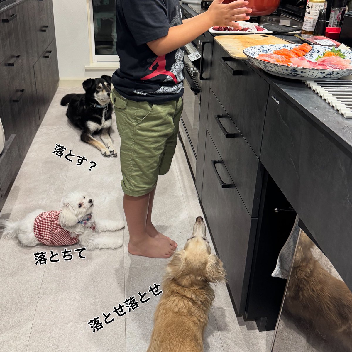 Kyoko (@hananinorion) on Twitter photo 