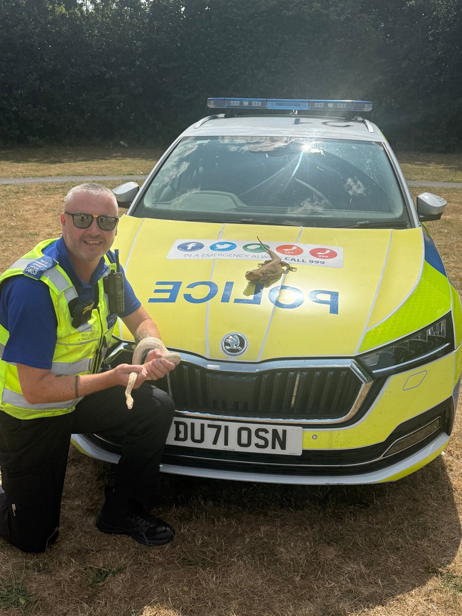 PCSOs Neal and Price are currently supporting Marshbrook First School Summer Fayre in Penkridge!
Pop down and say hello 👋