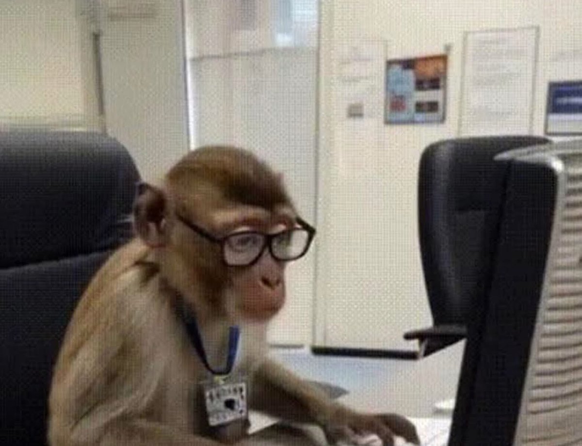 The_graphics32's tweet image. My first day at work wondering how did i delete the entire company database.