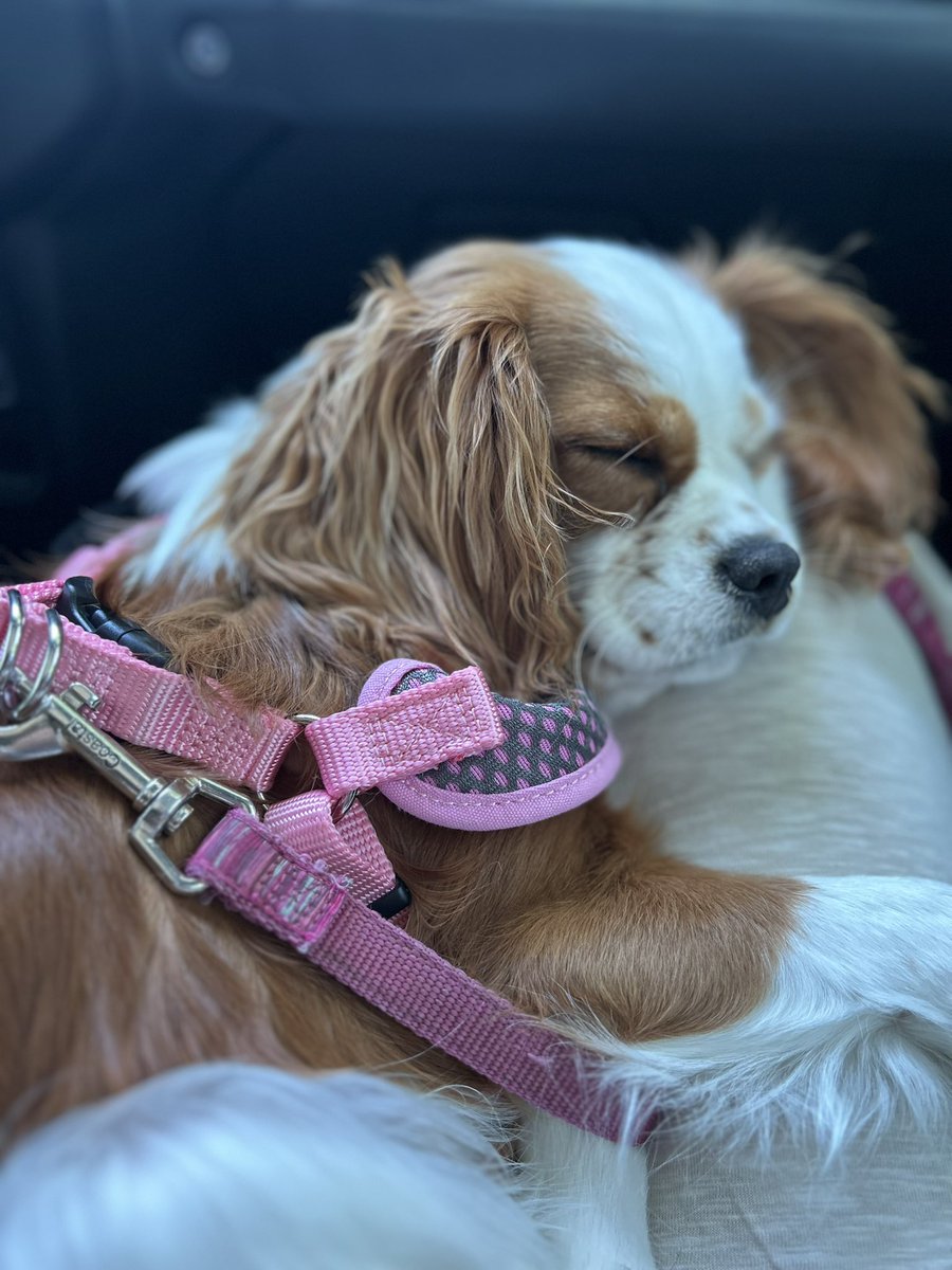 Vineyard’s Greatest Hits 💙