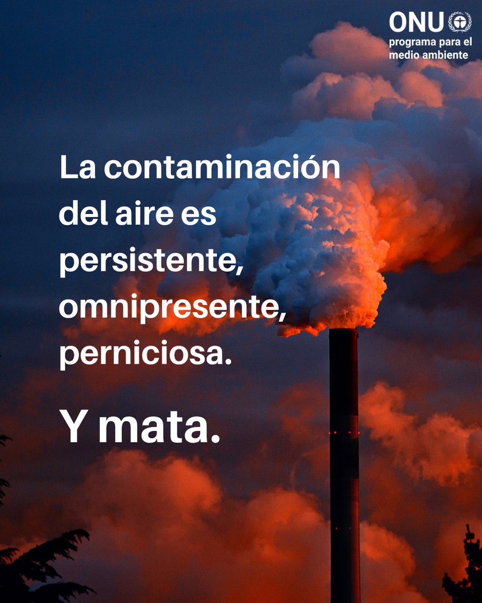 Naciones Unidas (@onu_es) on Twitter photo La contaminación causa alrededor de 9 millones de muertes al año — una de las mayores amenazas ambientales para la salud humana.
Necesitamos metas ambiciosas, acción decidida y colaboración global para ponerle fin.
Más info de <a href="/unep_espanol/">Programa ONU Medio Ambiente</a>: unep.org/es La contaminación causa alrededor de 9 millones de muertes al año — una de las mayores amenazas ambientales para la salud humana.
Necesitamos metas ambiciosas, acción decidida y colaboración global para ponerle fin.
Más info de <a href="/unep_espanol/">Programa ONU Medio Ambiente</a>: unep.org/es