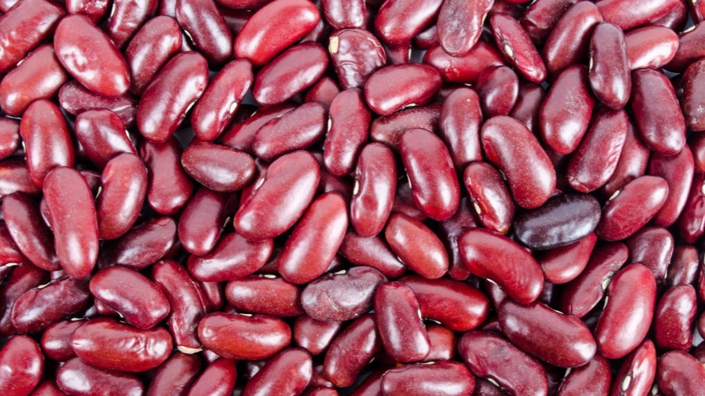 #EatBeansDay | A #UofG study found that beans keep older adults just as full as beef, despite having less protein. Packed with fibre, beans support digestion, curb appetite, promote healthy aging, and offer an affordable, sustainable choice. Learn more: uoguel.ph/d9wdx