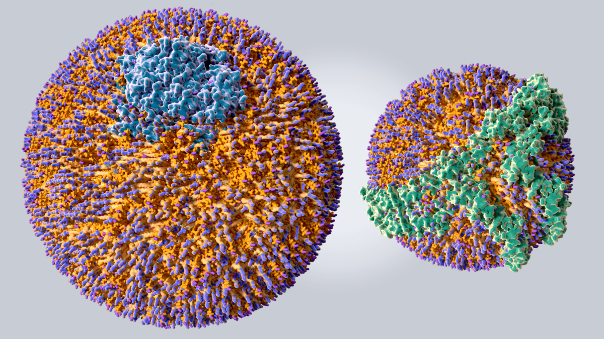 The winners of the first ever “Implementation Stories Contest” successfully switched from the Friedewald equation to the Martin equation for measuring low-density lipoprotein cholesterol. ow.ly/bvAM50Wkqqy