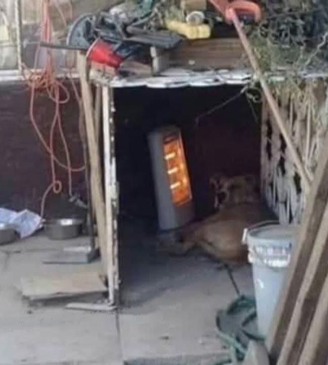 wacho me re olvide lo del monóxido de carbono y anoche dormí así