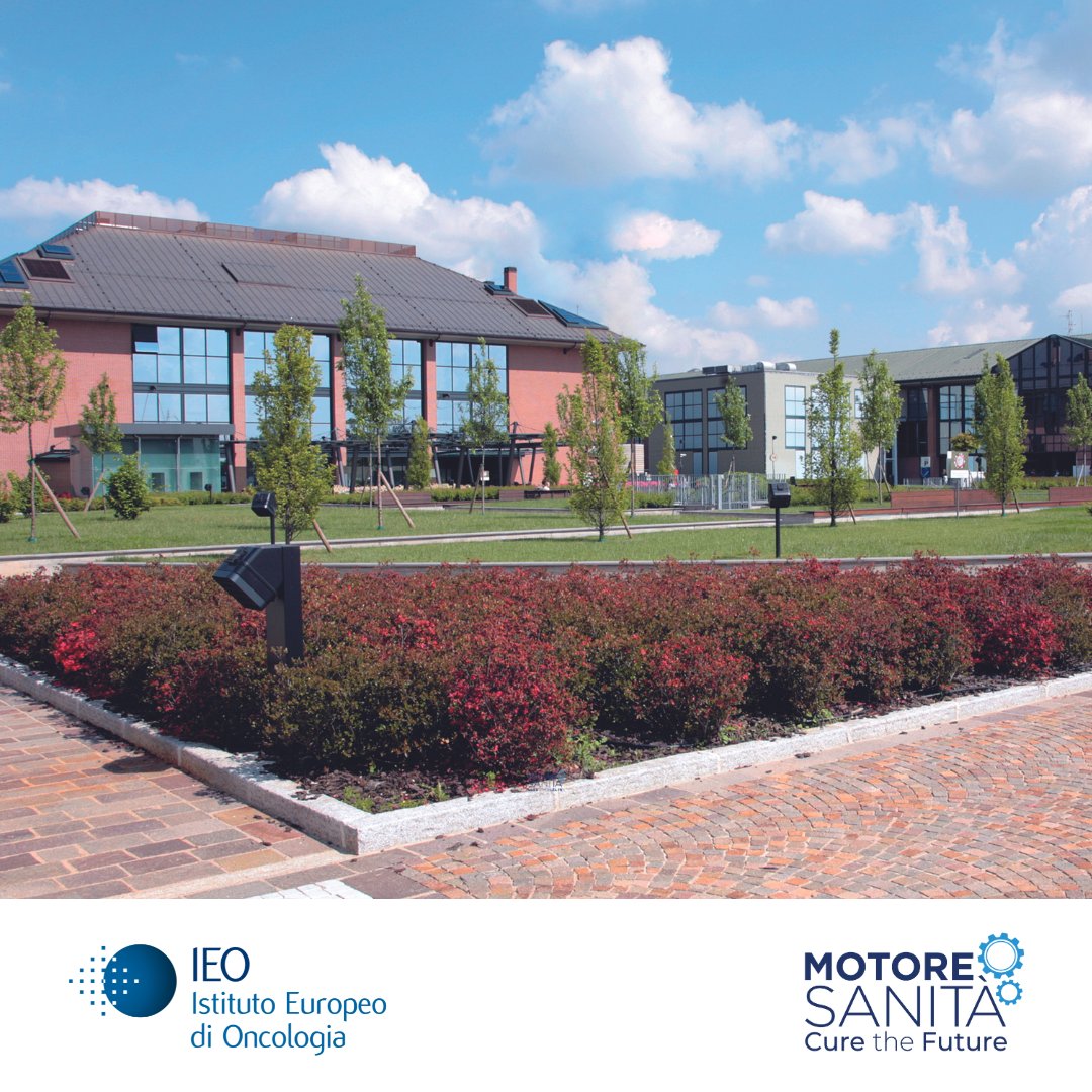 IEOufficiale's tweet image. La Midsummer School di @MOTORESANITA (9-11/7) a Milano per parlare del futuro dell’oncologia in Italia. IEO ospiterà per due giorni tavole rotonde, sessioni e dibattiti per promuovere una sanità più innovativa, sostenibile e centrata sul paziente.👉 shorturl.at/H7pBe