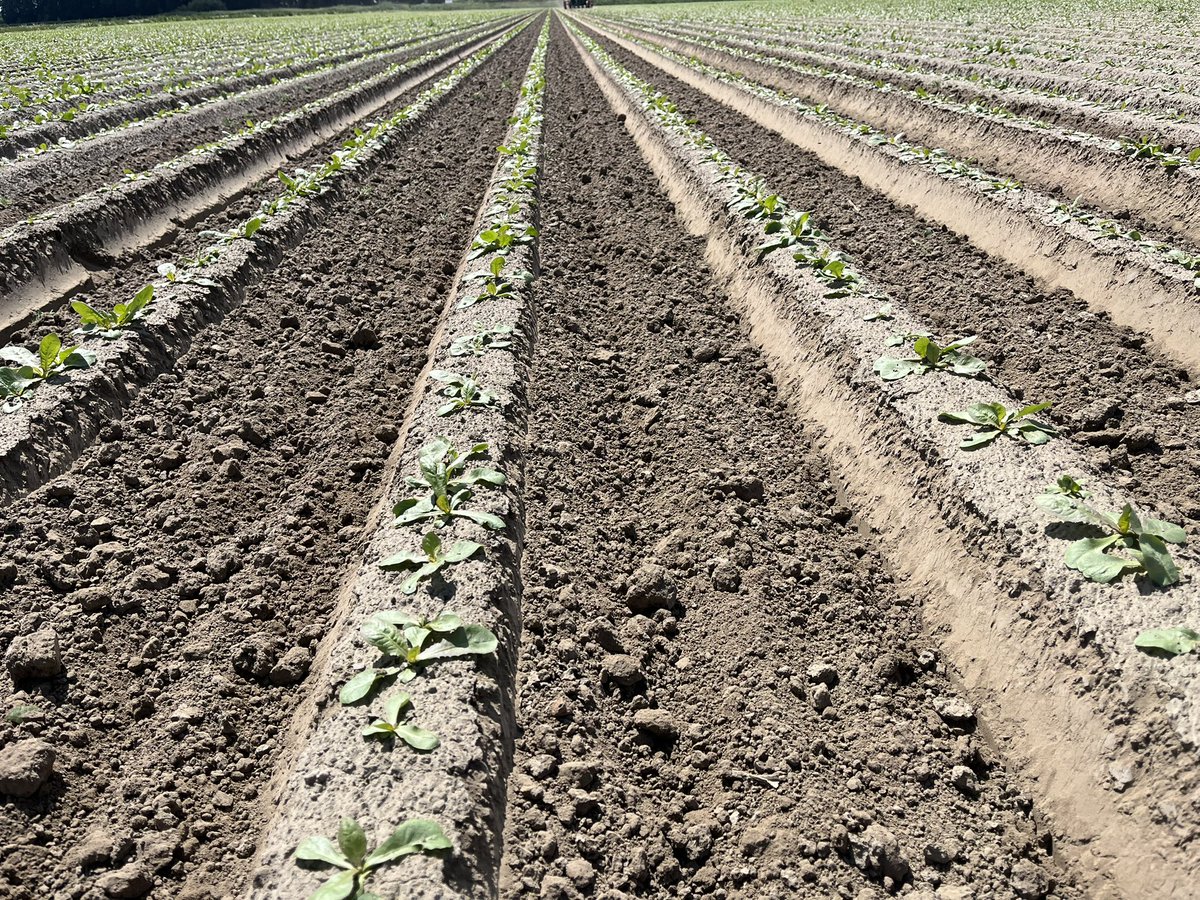 Wim De Witte tweet media