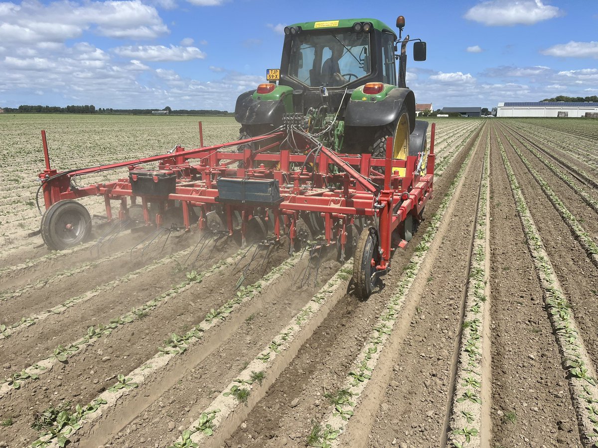 Wim De Witte tweet media