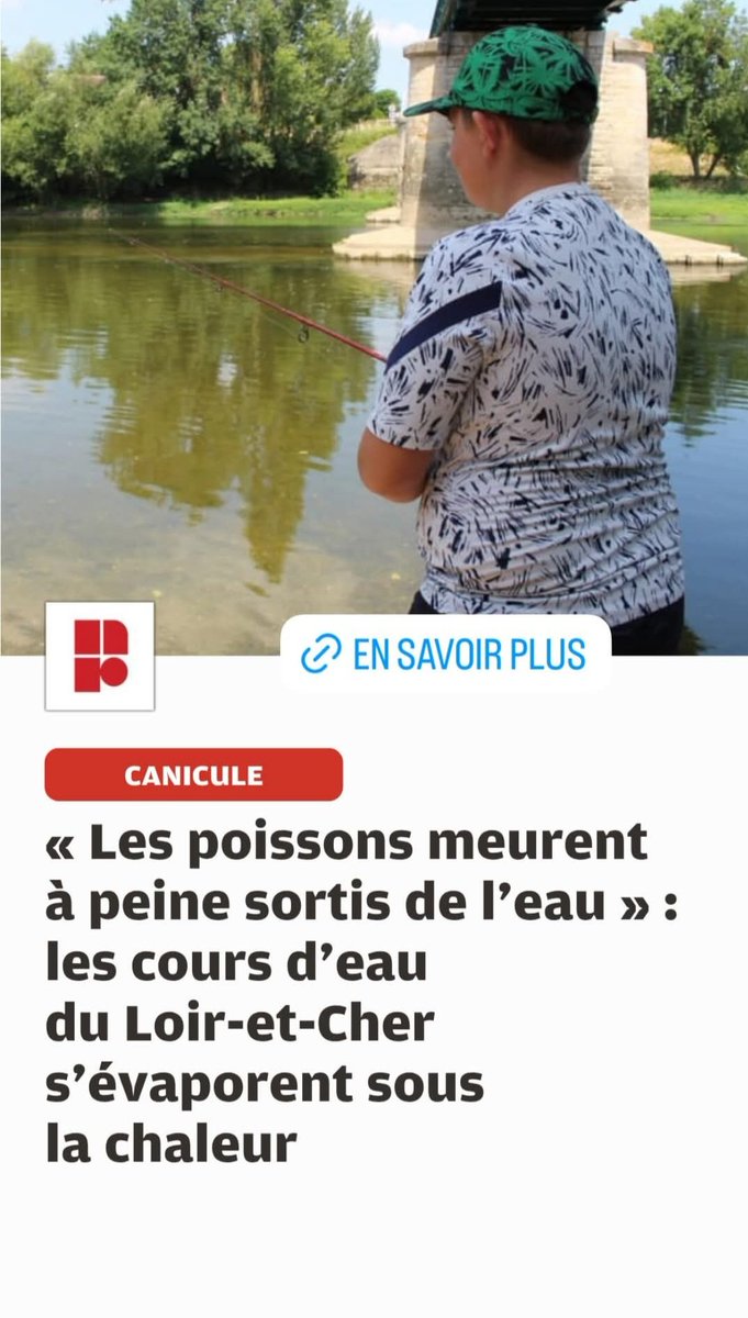 Essayez d'les laisser dans l'eau pour voir ? 🤔