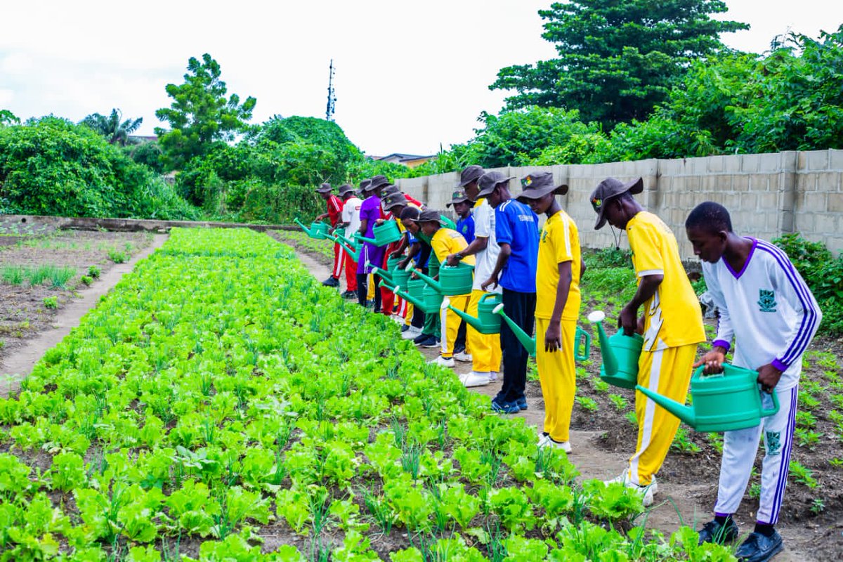 Abi_Olusanya's tweet photo. ....the Lagos Agric Scholars programme L.A.S.P. We build SMART farm systems - Hydroponics + Poultry + Aquaculture - in select schools with strong drive for Agriculture across Lagos. 

Register your school to be a part of the competition - meet the criteria, and be a part of the Nigerian Food systems transformation. 

@lagosagric1 @Freshfoodhub @theekoflavours @lagos_agriclub @lagosfoodfest