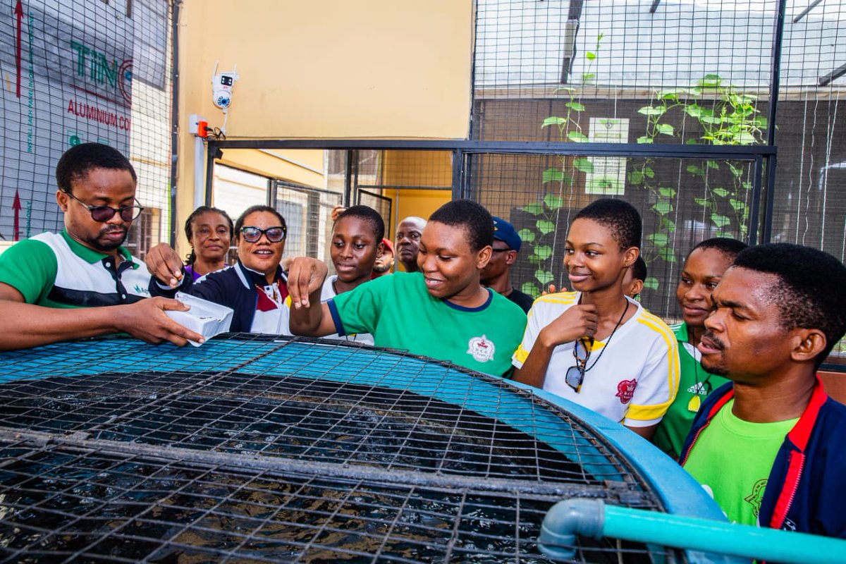 ....the Lagos Agric Scholars programme L.A.S.P. We build SMART farm systems - Hydroponics + Poultry + Aquaculture - in select schools with strong drive for Agriculture across Lagos. 

Register your school to be a part of the competition - meet the criteria, and be a part of the