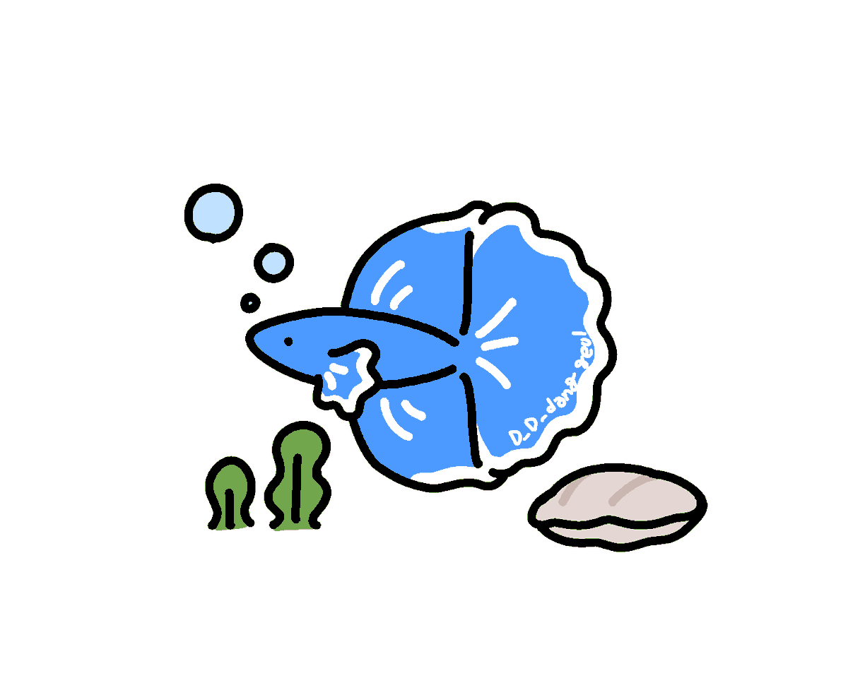 D_D_dang_geul's tweet photo. 🐠 https://t.co/WghPz2XBAH