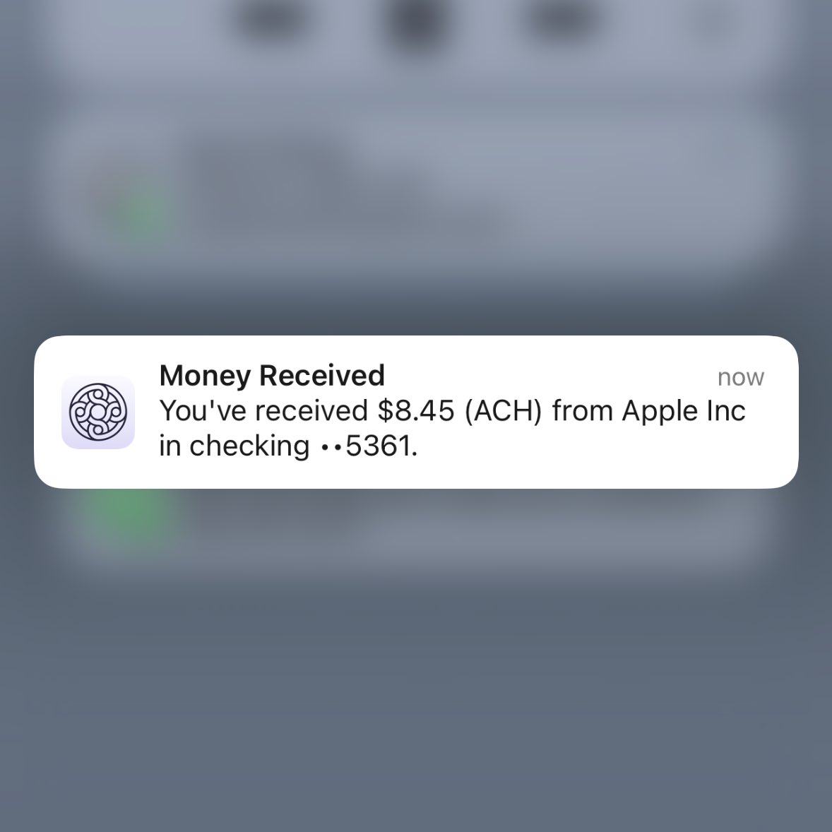stvnzhn's tweet image. first payout from apple!
gonna treat myself to a costco rotisserie chicken