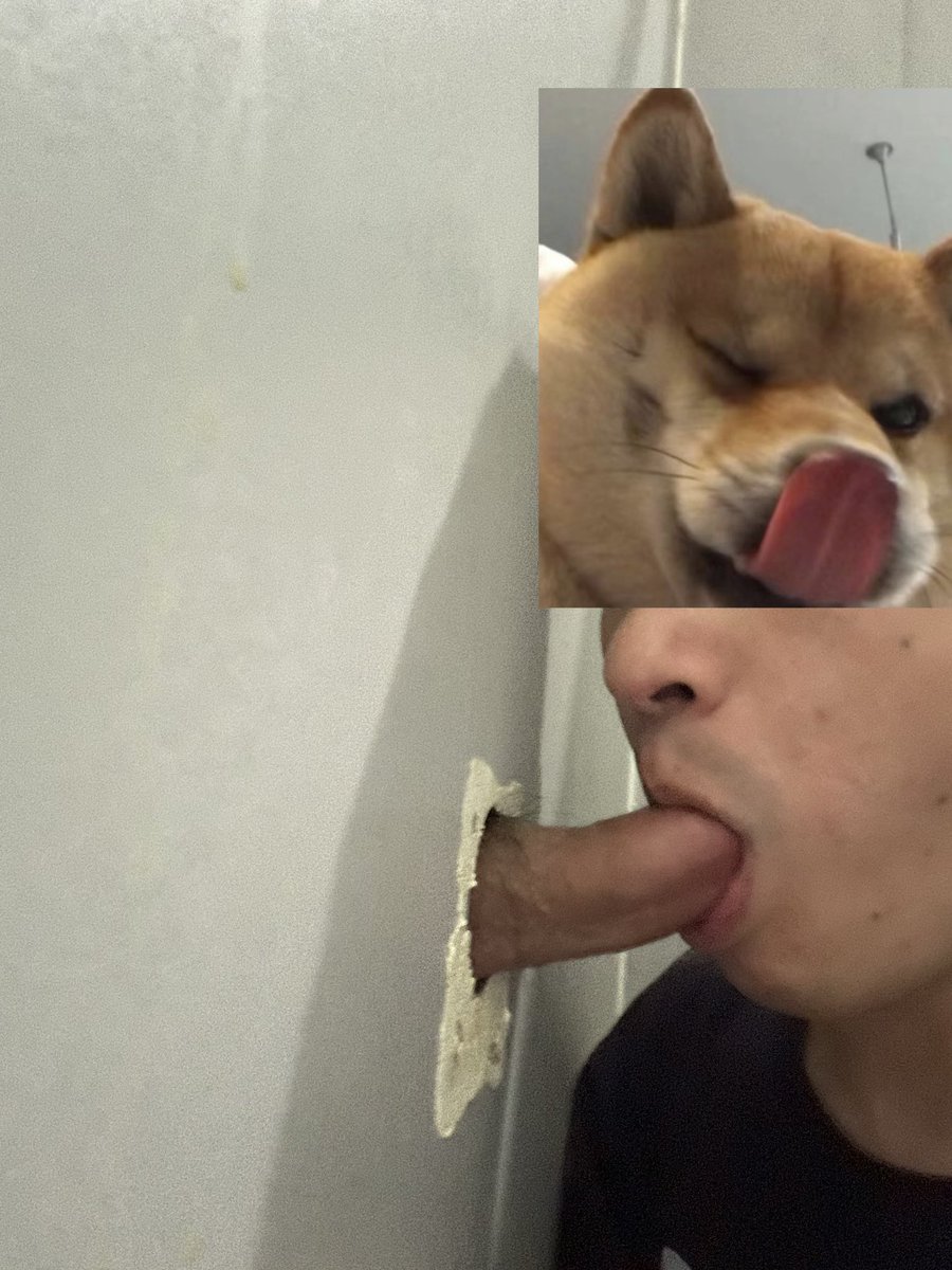舔吸你的逼 tweet media