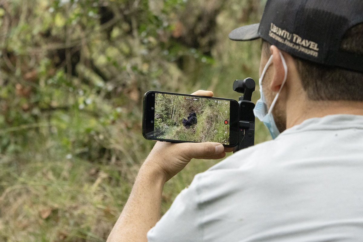 Ubuntu Travel Group tweet media