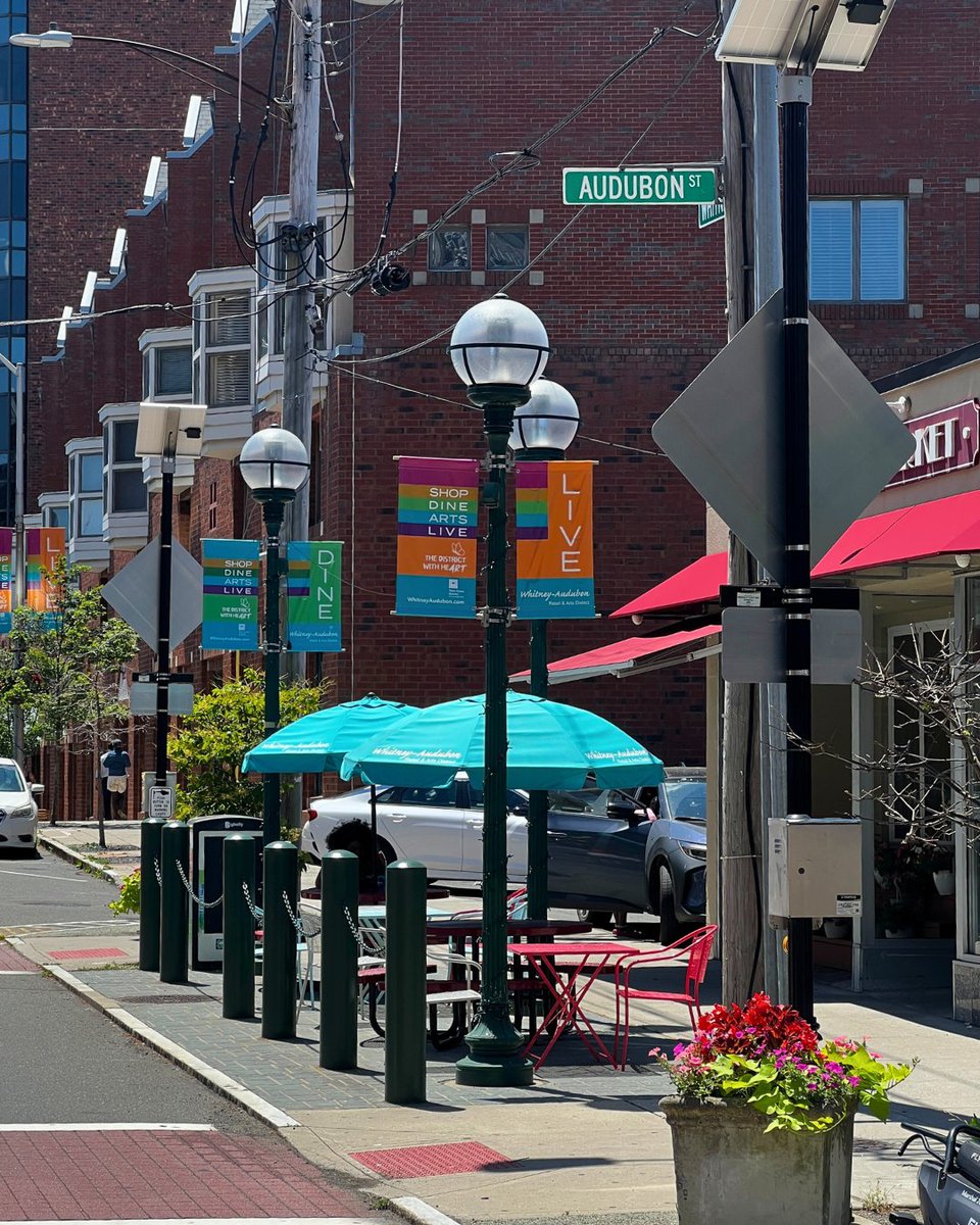 Take a breather on Audubon Street 🌿 

Grab lunch from Pokemoto or Good Nature Market or bring your own and enjoy the sunshine.

It’s a perfect stop after shopping in the Whitney-Audubon District or exploring the Peabody Museum nearby.

#newhavenct #shopsatyale