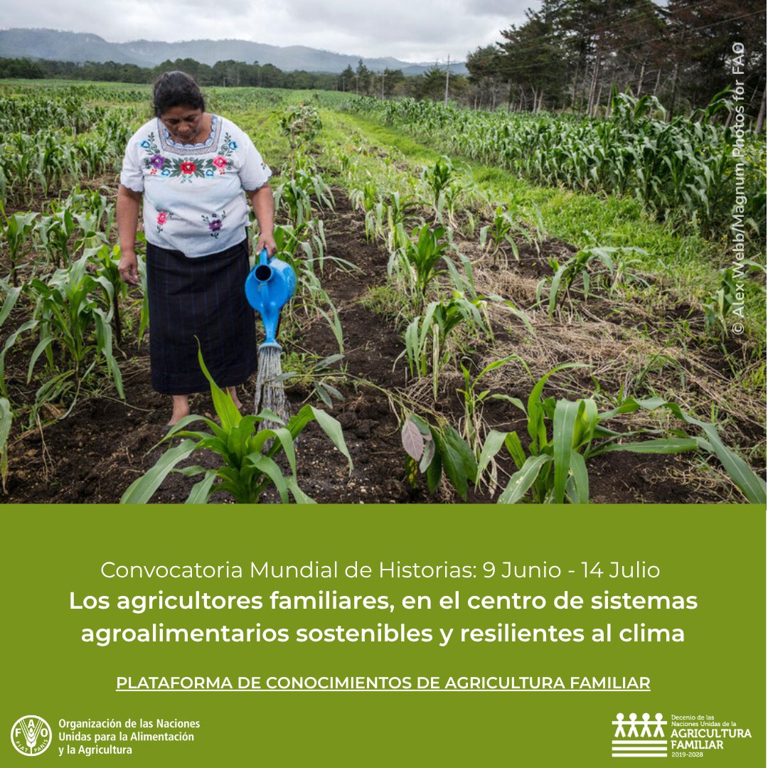 Una historia puede ser el principio de un cambio mayor

🔊¡Cuéntanos tu historia y ayúdanos a visibilizar el valor y potencial de la agricultura familiar en los sistemas agroalimentarios sostenibles y resilientes al clima🌱!

tinyurl.com/5xydrefp

#AgriculturaFamiliar