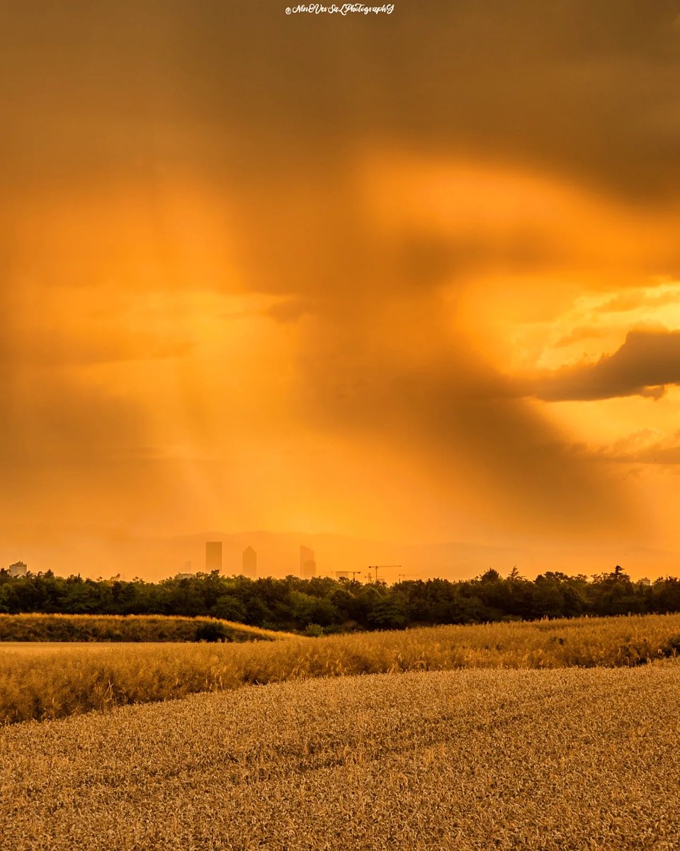 sescribanoozil's tweet photo. .
📸. Ninoversalphotography
Hier soir entre chaos et beauté, entre couché de soleil et orage, le ciel s'est métamorphosé en une œuvre d'art vivante et éphémère. Les couleurs étaient incroyables, la pluie dansait comme une valse orageuse 😍
#Lyon #igerslyon #igersfrance #onlylyon #lebonbonlyon #lyonmaville