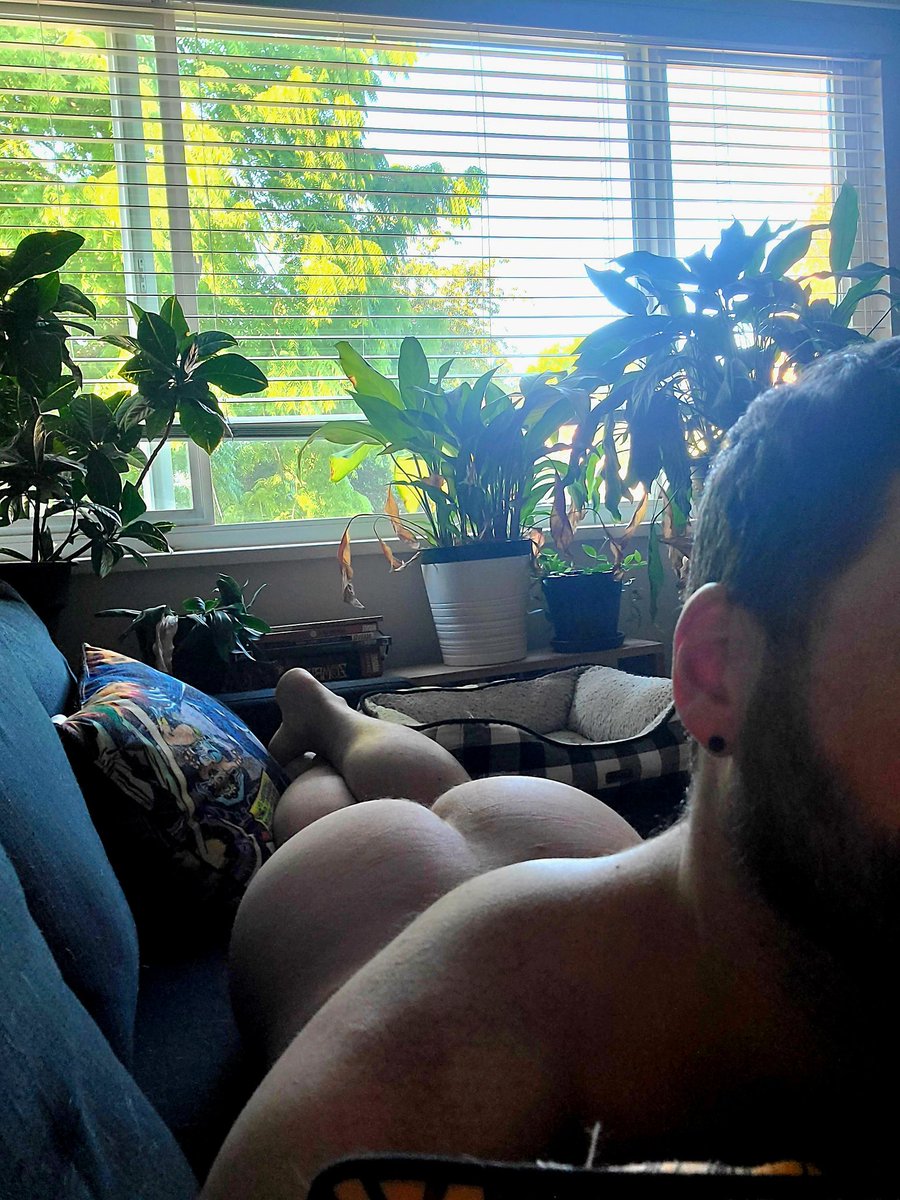 It's only day 2 of my 3 day work week, and I already don't want to go into the office.