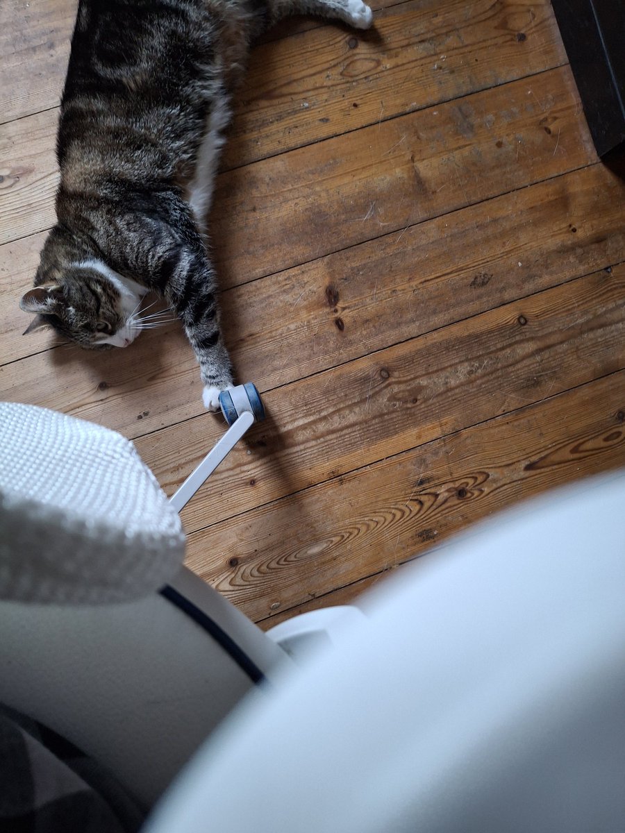 This dumbass is trying to be a double amputee I s2g