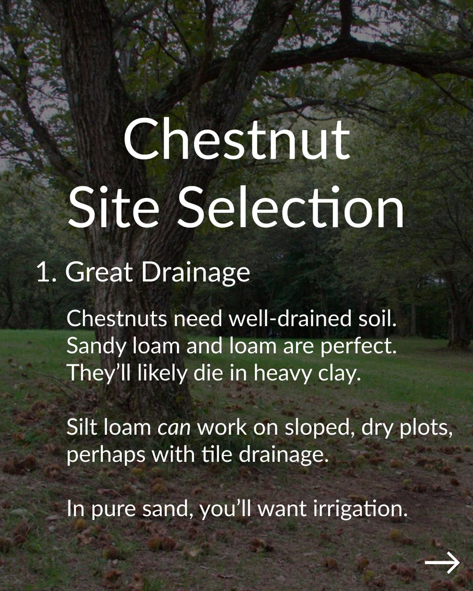 Propagate tweet media