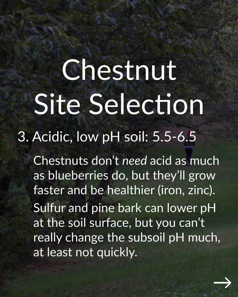 Propagate tweet media