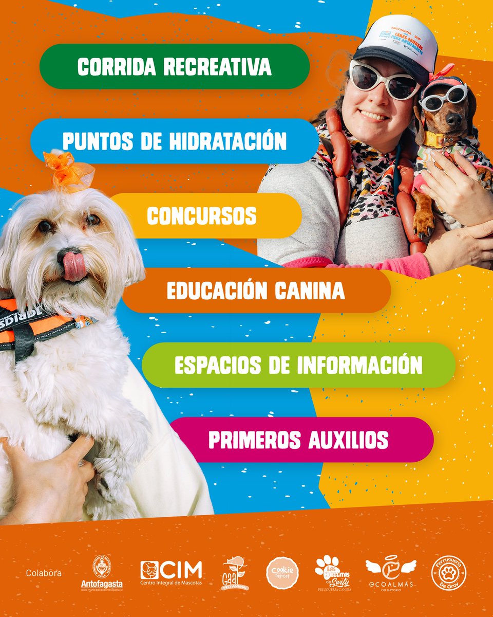 ¡Vuelve la corrida perruna!🐶💛
El próximo domingo 13 de julio, invitamos a toda la comunidad a mover la cola en las Calles Abiertas de #Antofagasta

Desde las 9 horas en sector de playa Trocadero🙌

Iniciativa presentada por Escondida | BHP.