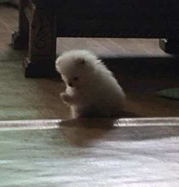 เท้าเร้กเร้กนิ่แระ

ทิ่จาปัยจัดกานแก

ท่ายังมั่ยหยุดเรียกจั้นว่าอึ่ม