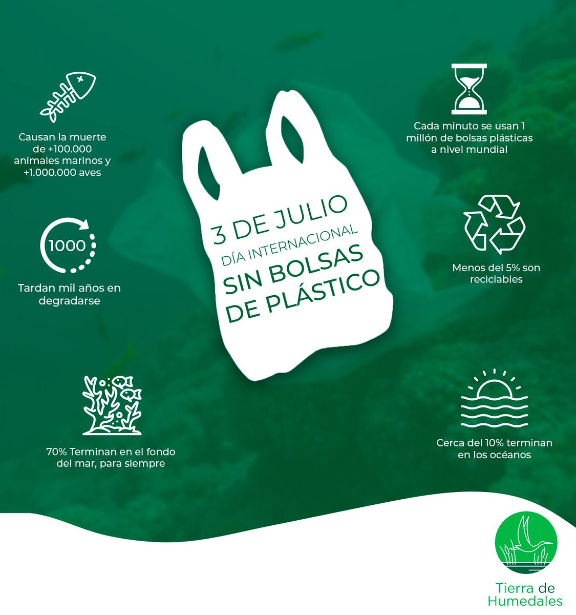 🛍️🌎 Hoy, 3 de julio, es el Día Internacional Libre de Bolsas de Plástico.
Un recordatorio para reducir su uso y proteger nuestro planeta.
Pequeñas acciones generan grandes cambios.
