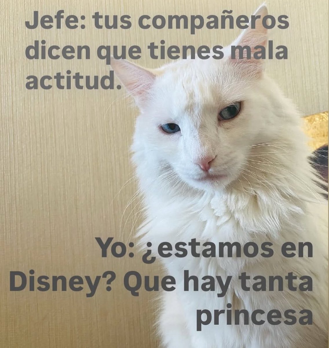 caramjose's tweet image. Jueves…