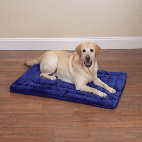 FidosOneStop's tweet photo. Naps just got an upgrade 🐾 The Slumber Pet Plush Mat = max comfort for your pup!

🛒 https://t.co/MVgYf1eUI1

#FidosOneStop #SlumberPet #DogNapTime #ComfyPup #PetMatPerfection https://t.co/iT4id3tbAz
