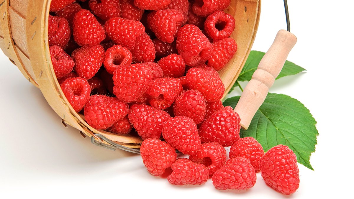 It’s berry picking season! 😍

Pick your own or buy them fresh from a farm or farmers’ market in Peel. 

Find locations and hours of operation by visiting growninpeel.ca