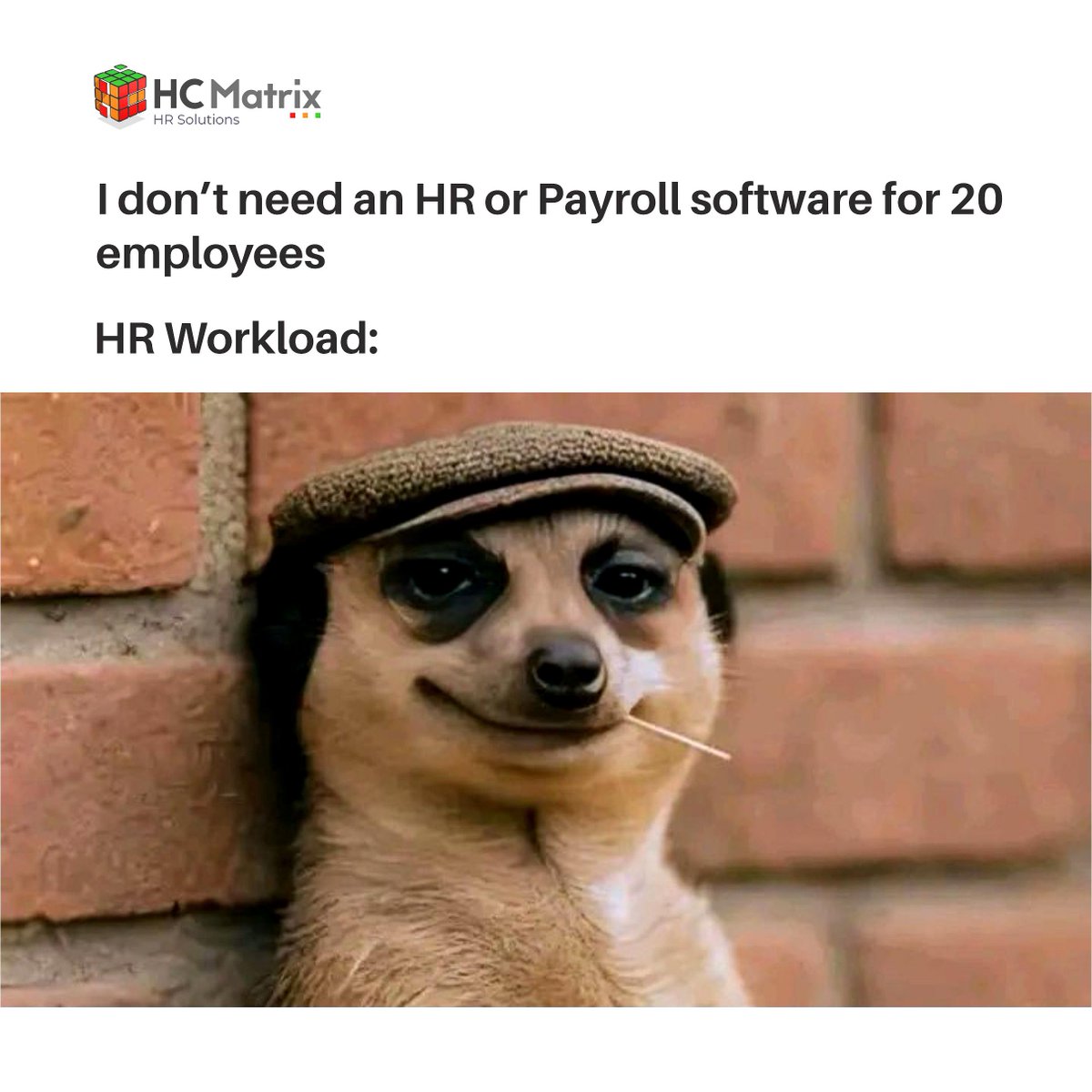 HCMatrix1's tweet image. 20 employees may seem manageable — until HR tasks pile up.

Manual processes =
❌ Delayed approvals
❌ Payroll errors
❌ Burnout

Spreadsheets won’t scale.
Start early. Automate smart. Grow sustainably.
Let HCMatrix do the heavy lifting.

#HCMatrix #SmartHR #Efficiency
