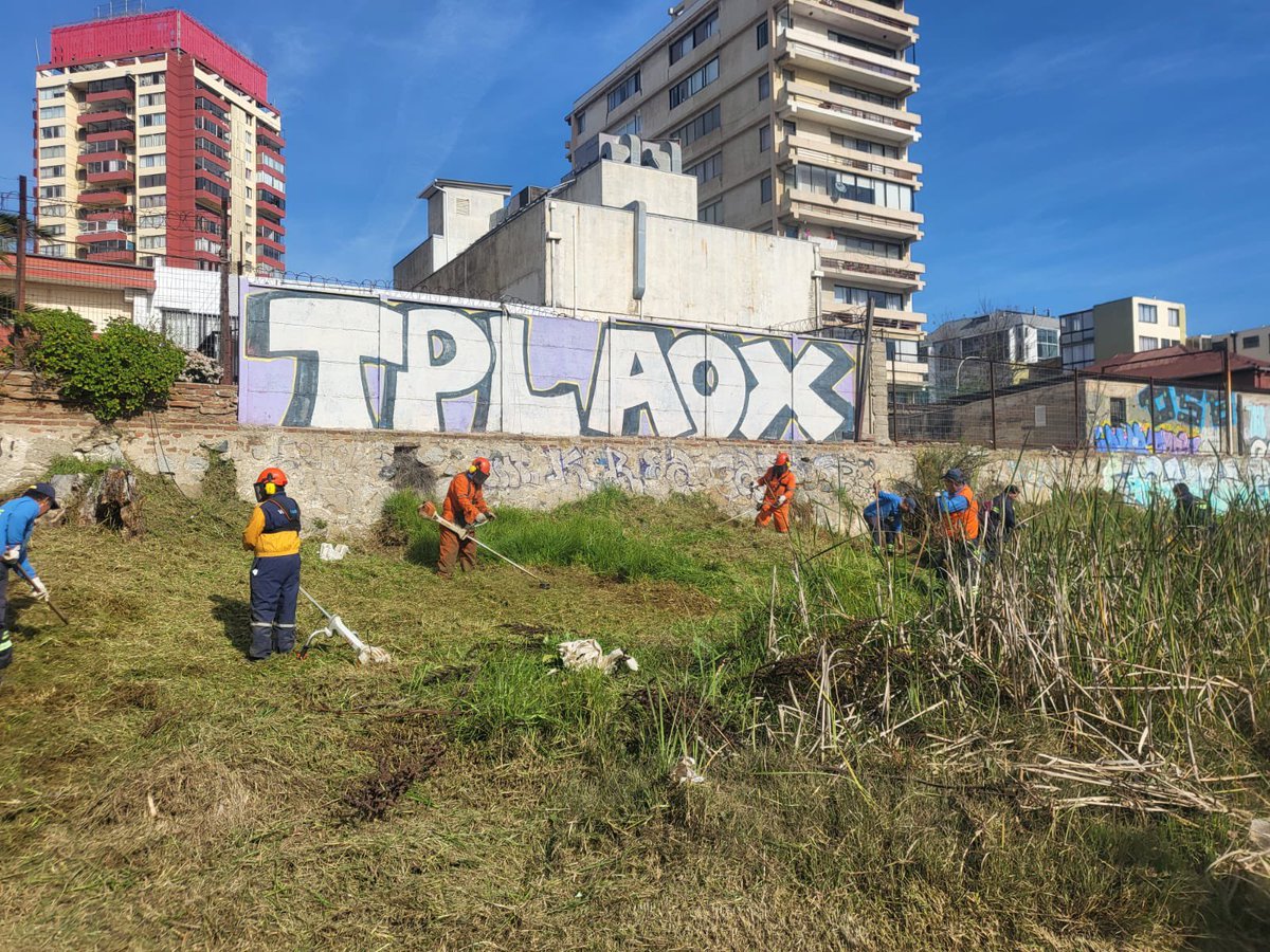 🌿 Nuestros equipos municipales realizan constantes labores de limpieza, desmalezado y mantención del estero Marga Marga.

💧Cuidar sus aguas y entorno es tarea de todos.

🚯 Deposita tus residuos en lugares adecuados.

Una ciudad limpia es una ciudad que se cuida 💚