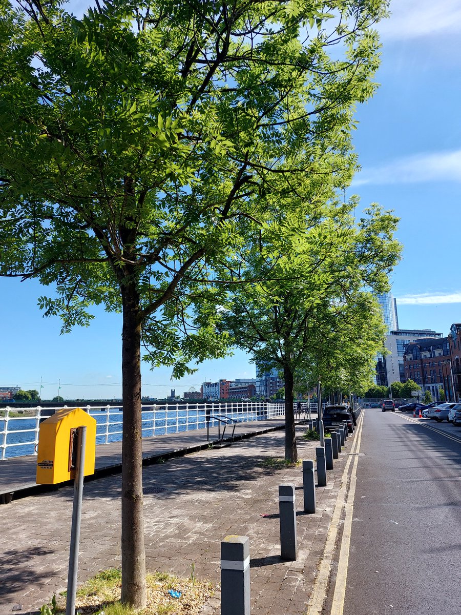 On this Friday’s Green and Live show on <a href="/Live95Limerick/">Live 95</a> we will have music from Limrock’s very own #TheFlagListeners #JohnSteele <a href="/DeniseChaila/">denise</a>  and more. Tune in from midnight on live95fm.ie