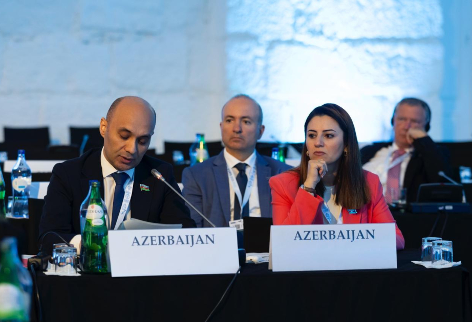 OSCE PA calls for assistance to Azerbaijan in demining efforts and rehabilitation azertag.az/en/xeber/osce_…
