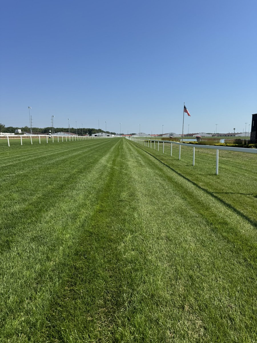 Eric Halstrom tweet media