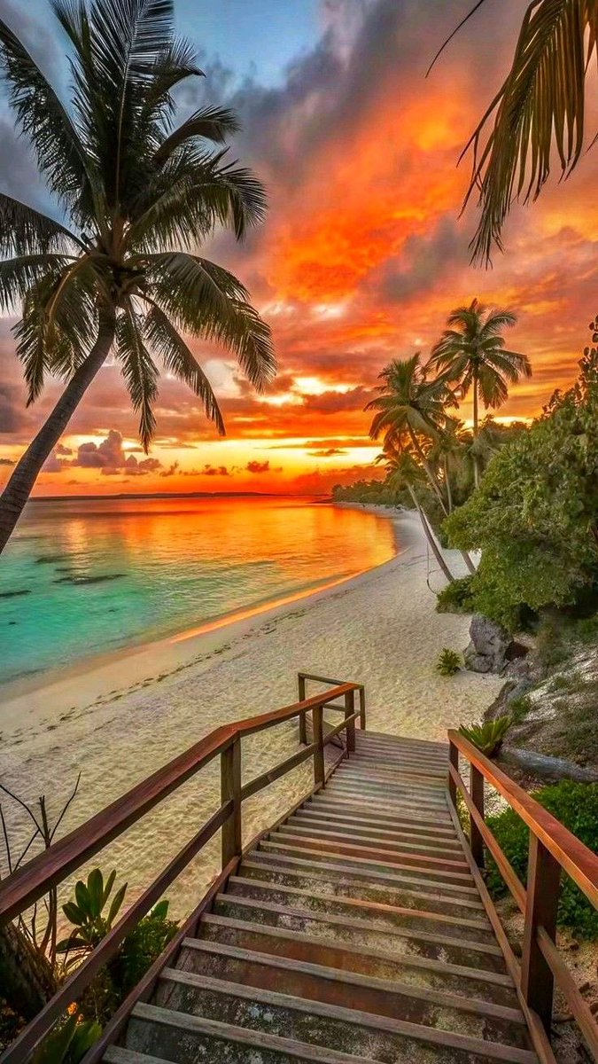 Olga (@lazurit_plus) on Twitter photo Good evening 🌅 Good evening 🌅