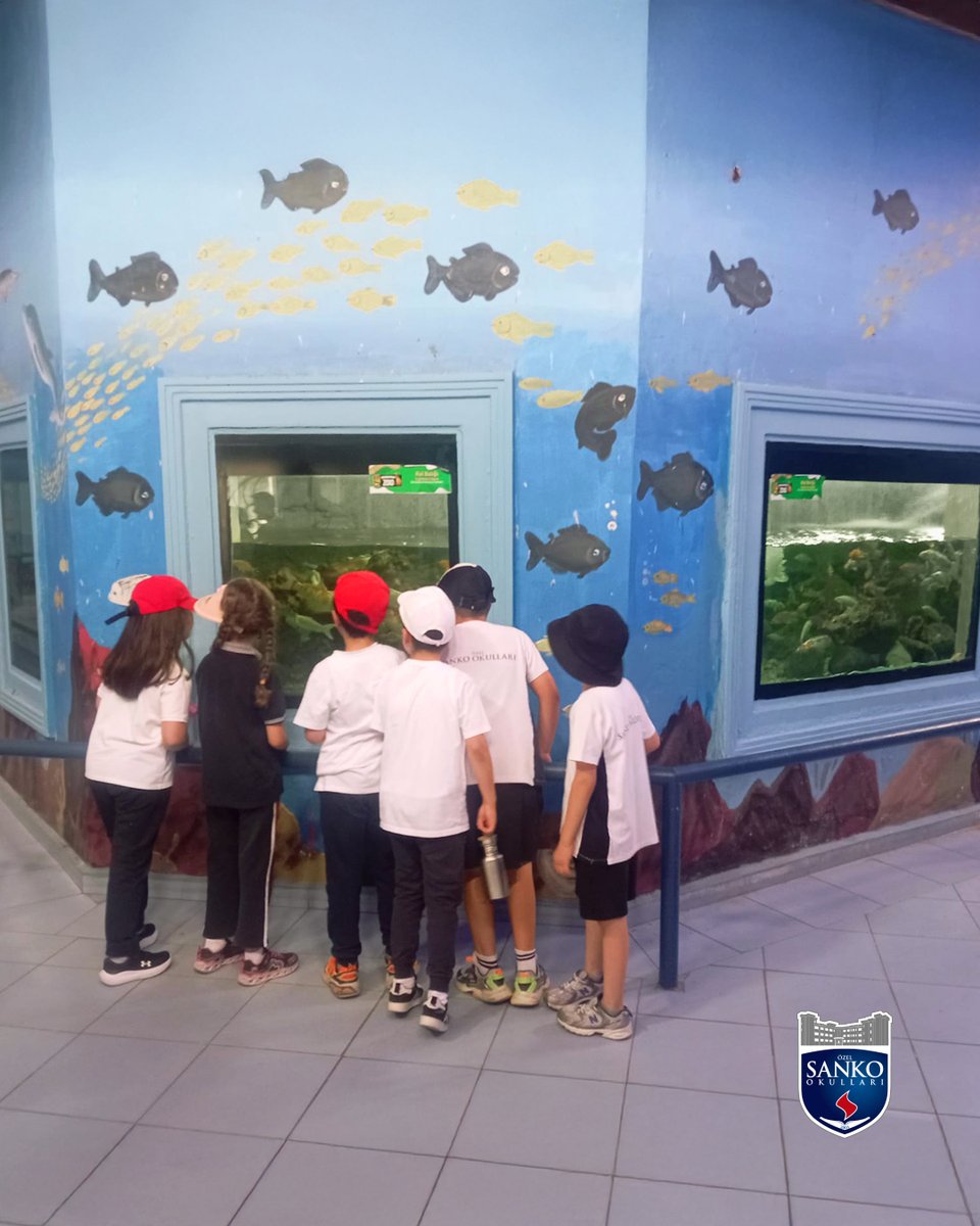 2. sınıf öğrencilerimiz, “Dünya’nın İşleyişi” teması kapsamında düzenlenen Gaziantep Hayvanat Bahçesi gezisinde doğayı yakından tanıma fırsatı buldu.

Farklı hayvan türlerini inceleyen öğrencilerimiz, yaşam alanları, beslenme şekilleri ve doğadaki görevleri hakkında bilgi edindi.