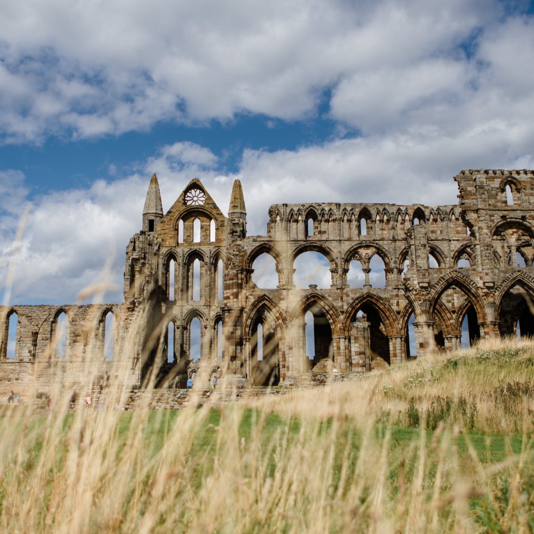 EnglishHeritage's tweet image. Slow strolls and beautiful ancient architecture. Which abbey is calling you for a summer day out?
📍 Roche Abbey, Shap Abbey, Whitby Abbey.