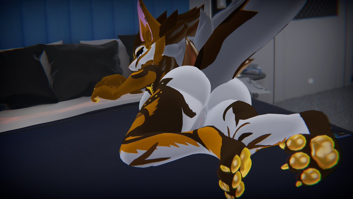 keppy aftermeow tweet media