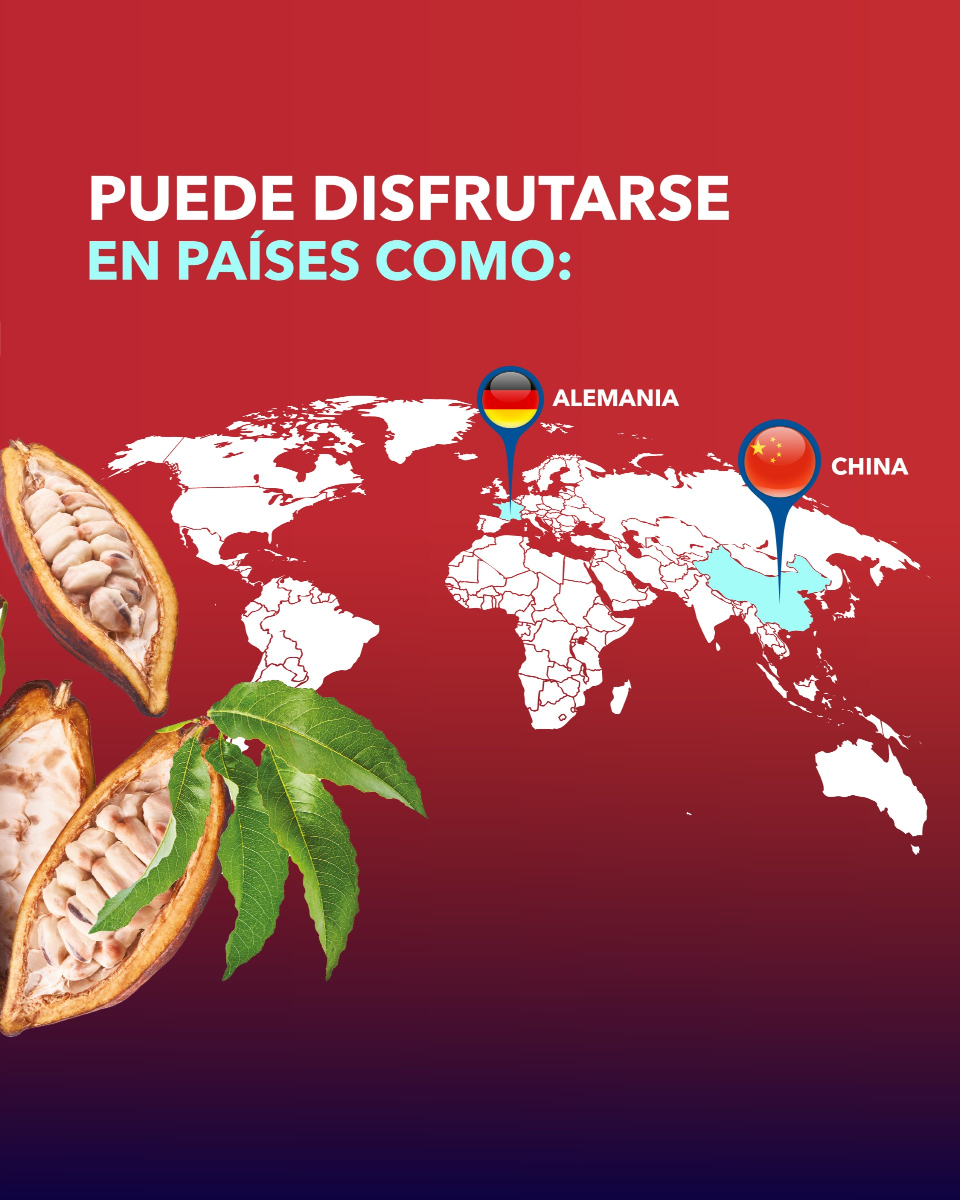 ¡El chocolate panameño está conquistando nuevos mercados! Detrás de cada tableta hay cacao de origen excepcional, cultivado con esmero por manos panameñas que entienden el valor de la calidad y la sostenibilidad.

Seguimos impulsando a nuestros productores y exportadores para que